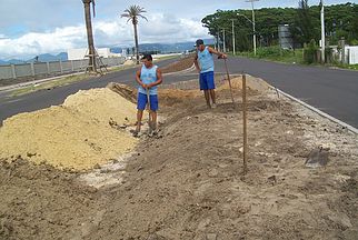 onde encontro vasos plantas em Porto Alegre