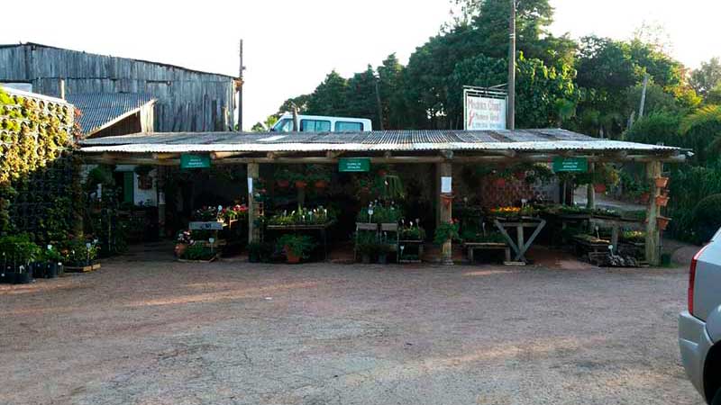 onde comprar vasos para plantas em Porto Alegre