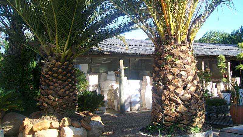 plantas ornamentais raras em Porto Alegre